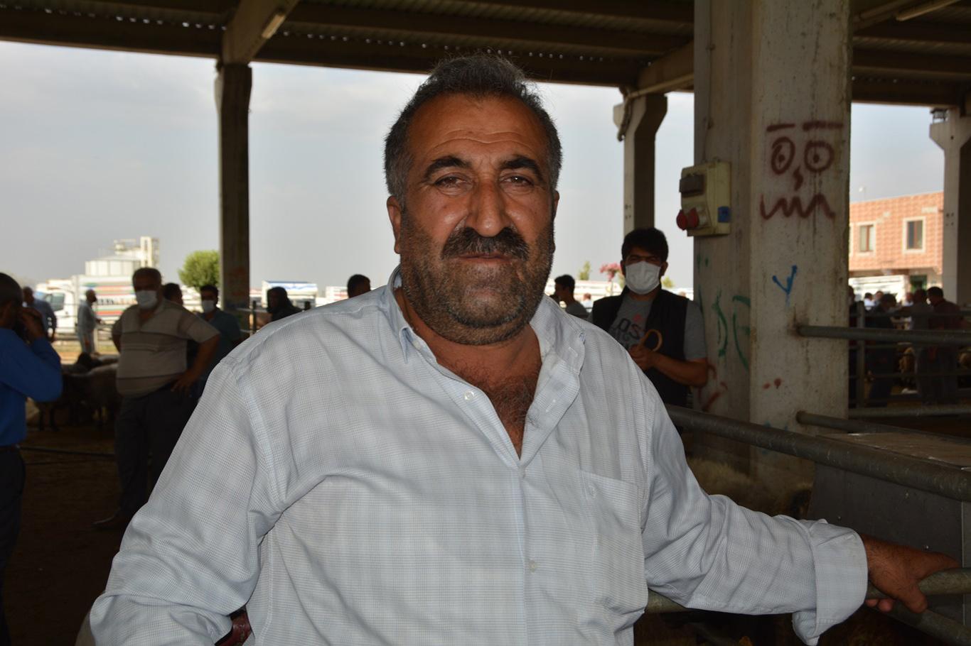 Veteriner denetiminden geçen kurbanlıklar alıcılarını bekliyor Veteriner denetiminden geçen kurbanlıklar alıcılarını bekliyor